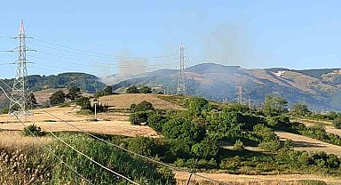 Bursa'da orman yangını