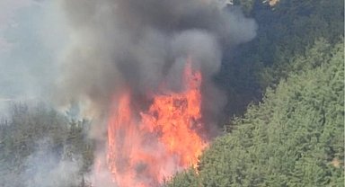 Bursa'da orman yangını güncel durum: Alevler yeniden şiddetlendi, çalışmalar sürüyor