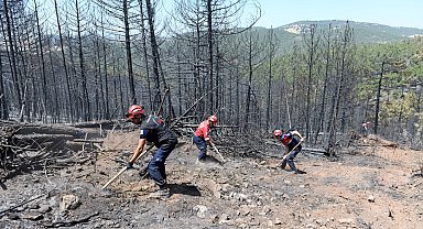 Bursa'da orman yangınlarına OSAD'dan koordineli müdahale