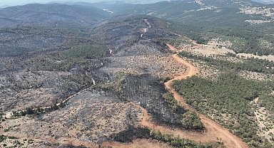 Bursa'da yanan ormanlar yeniden yeşerecek... 11 Kasım'da fidan dikimine davet
