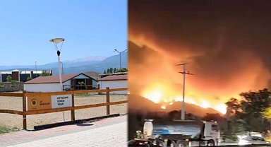 Bursa'da yangından etkilenen hayvanlara el açtılar