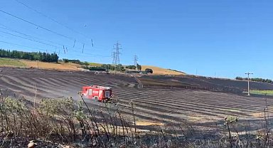 Büyükçekmece'de tarlada yangın: Alevler evlere sıçramadan söndürüldü