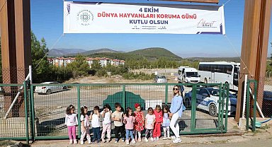 Büyükşehir Geçici Hayvan Bakımevi'nden 3 bin 779 can dosta yeni yuva