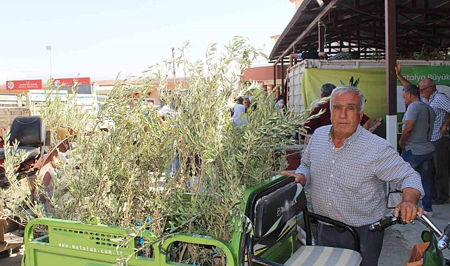 Büyükşehir'den 19 ilçeye 40 bin zeytin fidanı desteği
