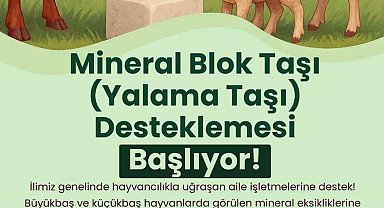 Büyükşehir'den hayvanlara yalama taşı desteği