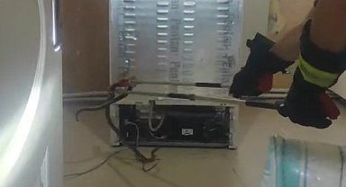 Buzdolabı motoruna giren yılanı itfaiye çıkardı
