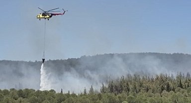 Çanakkale'de orman yangını