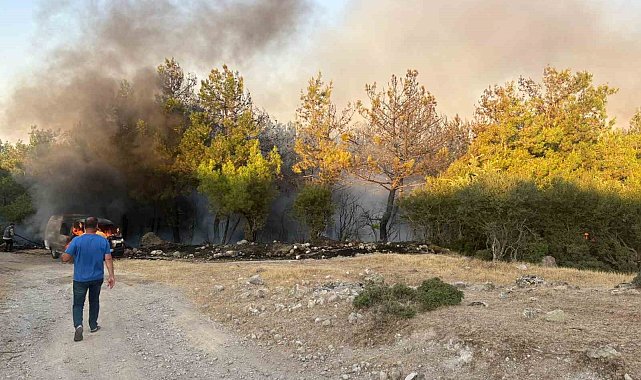 Çanakkale'de park halindeki midibüste çıkan yangın ormana sıçradı