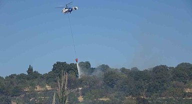 Çanakkale'de tarım arazilerinde çıkan yangın kontrol altına alındı