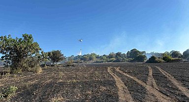 Çanakkale'de tarım arazisinde çıkan yangın kontrol altına alındı