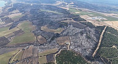 Çanakkale'deki orman yangını kontrol altına alındı
