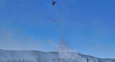 Çanakkale'deki orman yangınında 6 hektar alan zarar gördü