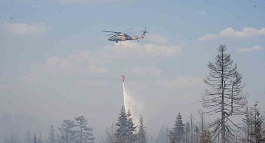 Çankırı Valiliği: "Orman yangınına 216 personel ve 7 helikopterle müdahale ediliyor"