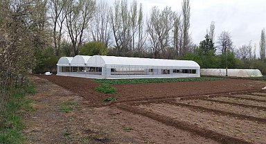 Çankırı'da yenilenen seralar üretime yeniden can verildi