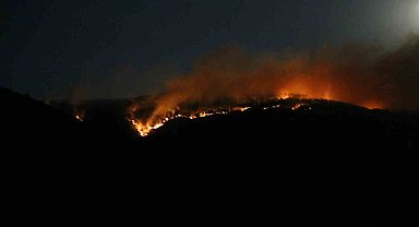 Çankırı'daki orman yangınına ekiplerin müdahalesi sürüyor