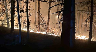 Çankırı'daki orman yangınına müdahale 4 saattir sürüyor