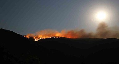 Çankırı'daki orman yangınında 40 hektar alan zarar gördü