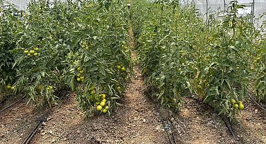 Çaycuma'da üretim güçlerini birleştirdiler