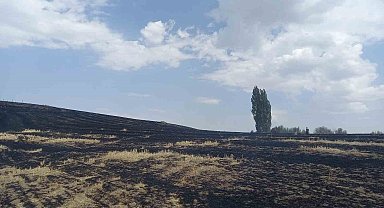 ÇEDAŞ'ın arızalanan trafosu 400 dönüm araziyi küle çevirdi