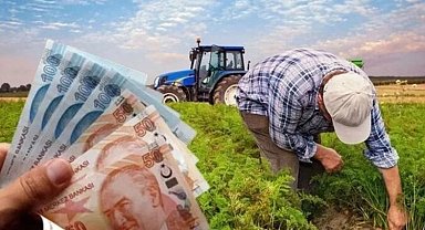 Çiftçilere 865 milyon TL'lik destek ödemesi hesaplarda