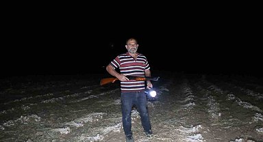 Çiftçilerin "beyaz altın" nöbeti: Sarımsaklar çalınmasın diye sabaha kadar tarlada nöbet tutuyorlar