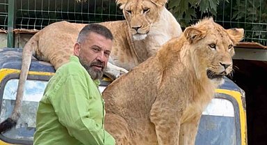 Çiftçiye saldıran aslanın sahibi: "İnsanlara saldırmazdı, sosyal bir hayvandı"