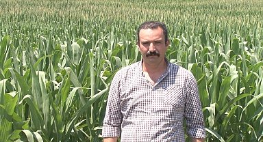 Çiftçiye sıcak hava uyarısı: Hastalık ve zararlılar arttı