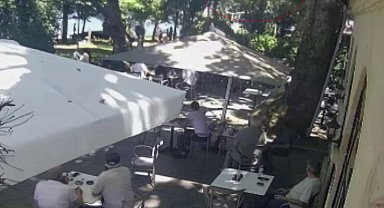 Çınardan kopan dal can aldı: O anlar kamerada