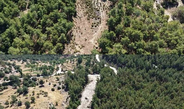 Çine'de orman yangınlarına karşı önleyici temizlik çalışması yapıldı
