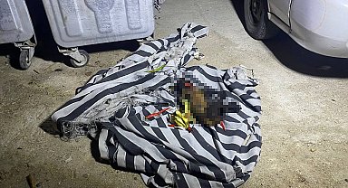 Çöp konteynerindeki yangın sonrası köpeğin telef olduğu ortaya çıktı