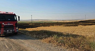 Çorum'da 15 dönüm buğday ekili tarla alevlere teslim oldu