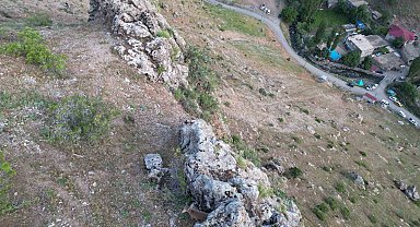 Dağ keçileri köye indi