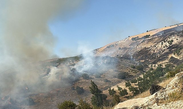 Dağlık alanda korkutan yangın