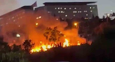 Darıca Millet Bahçesi'nde çıkan yangın söndürüldü