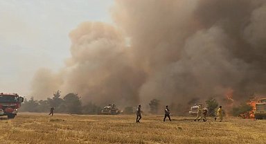 Denizli'de çıkan orman yangını kontrol altına alındı