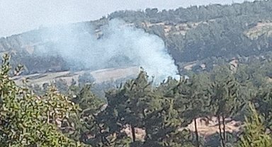 Denizli'de sabaha karşı başlayan orman yangını hızlı müdahaleyle söndürüldü