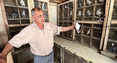 Depremde 170 güvercini telef oldu, kuş sevdası geçmedi