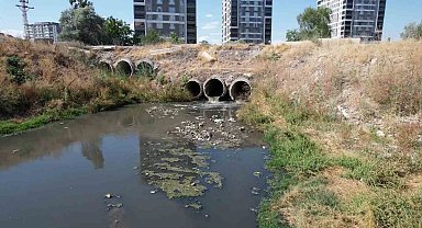 Dere yatağından yayılan kötü koku mahalleyi bezdirdi