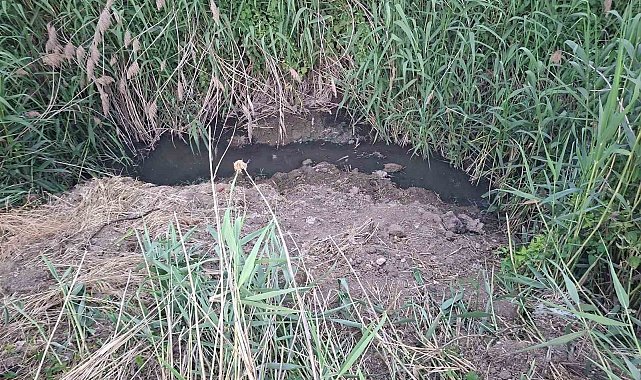 Dereye akan lağım suyu, mahalleliyi nefes alamaz hale getirdi