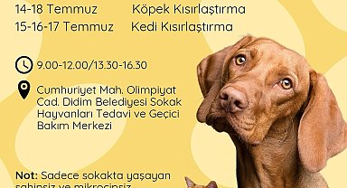 Didim Belediyesi'nden sokak hayvanlarına ücretsiz kısırlaştırma hizmeti