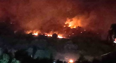 Dikili'de orman yangını: Çanakkale yolu ulaşıma kapatıldı