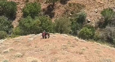 Diyarbakır'da 71 yıl kesinleşmiş hapis cezası ile 20 yıldır aranan şahıs yakalandı