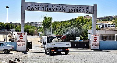 Diyarbakır'da kapatılan Canlı Hayvan Borsası ilaçlanıp dezenfekte edildi