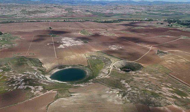Doğanın gözlerinde kene sessizliği