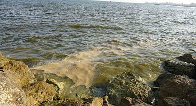 Doğu Akdeniz'de kirlilik gözle görülür hale geldi