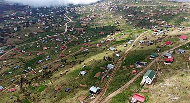 Doğu Karadeniz'deki yaylalar kaçak betonlaşma tehdidi altında