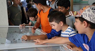 Dondurulmuş hayvan müzesine büyük ilgi