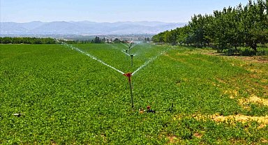 DSİ Genel Müdürü Balta: "Malatya'da sulama ile ekonomiye 17,5 milyar TL katkı hedefleniyor"