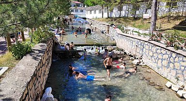 Dünyaca ünlü 'doktor balıklar' mührün kaldırılmasını bekliyor