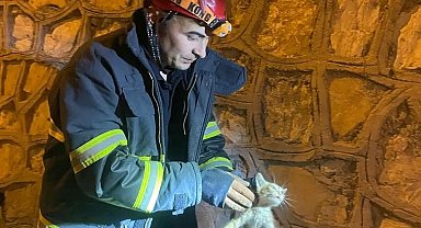 Duvar arasında mahsur kalan yavru kediyi itfaiye kurtardı